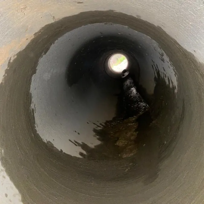 Interior of a stormwater pipe