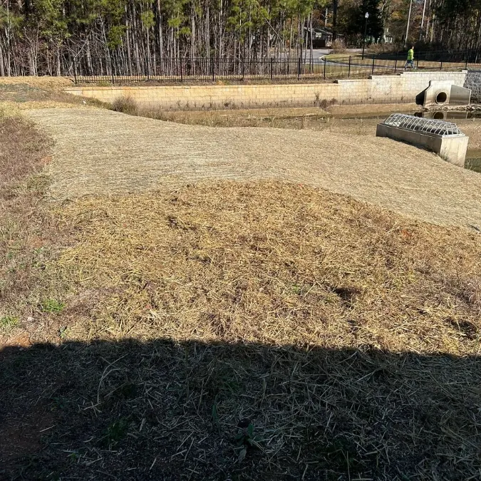 Stabilized pond area with seeding