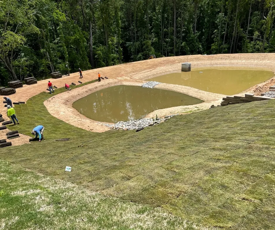 Sod establishing sustainable vegetation