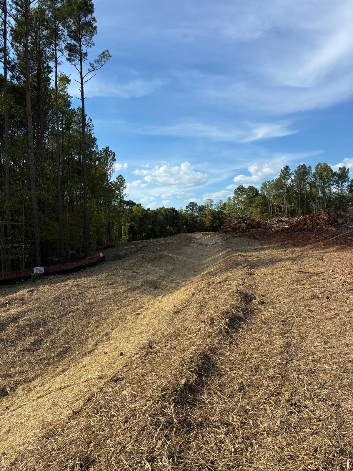 Stabilized swale at Banks Twenty
