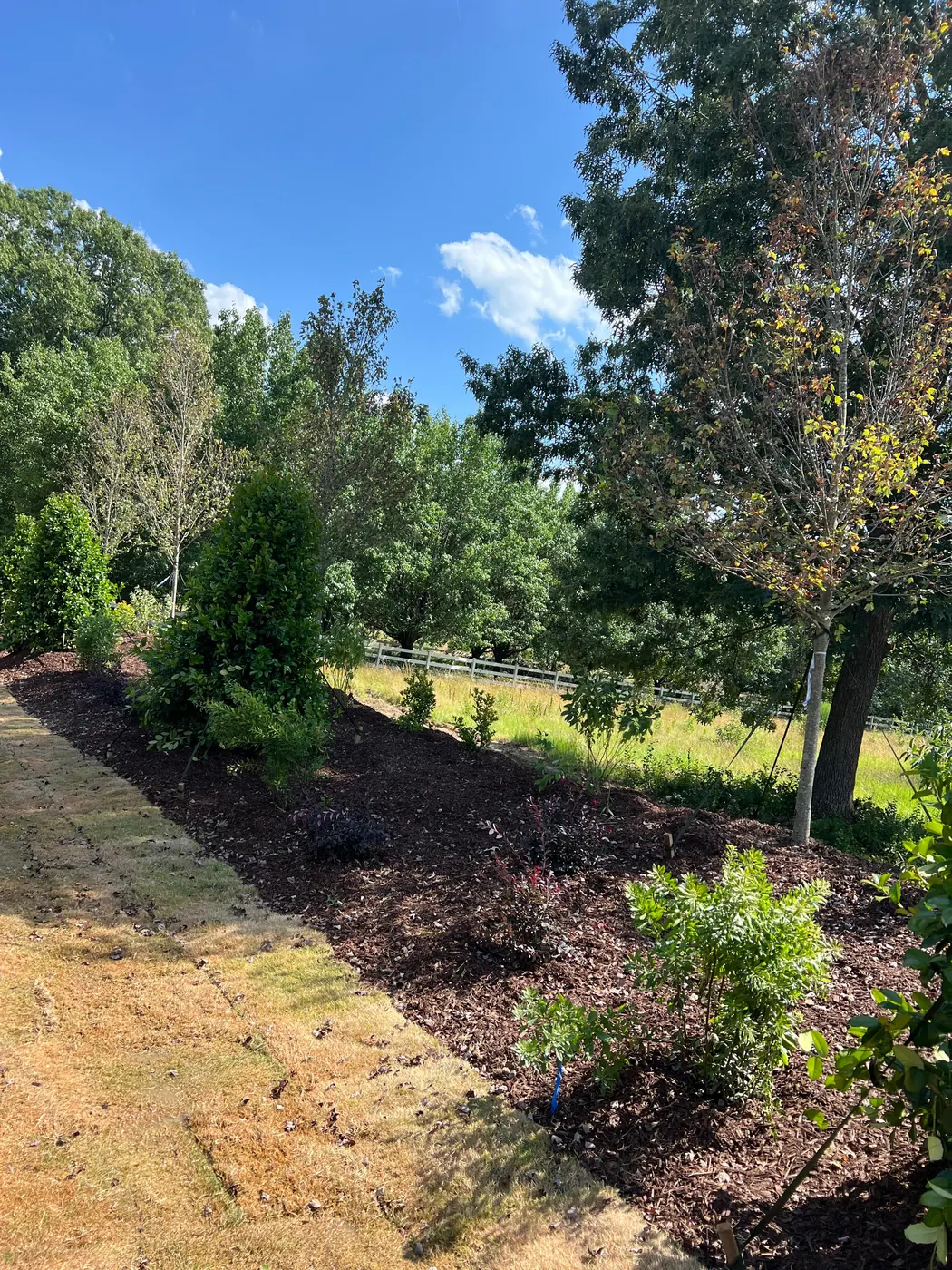 Landscaping project at Sauls Landing