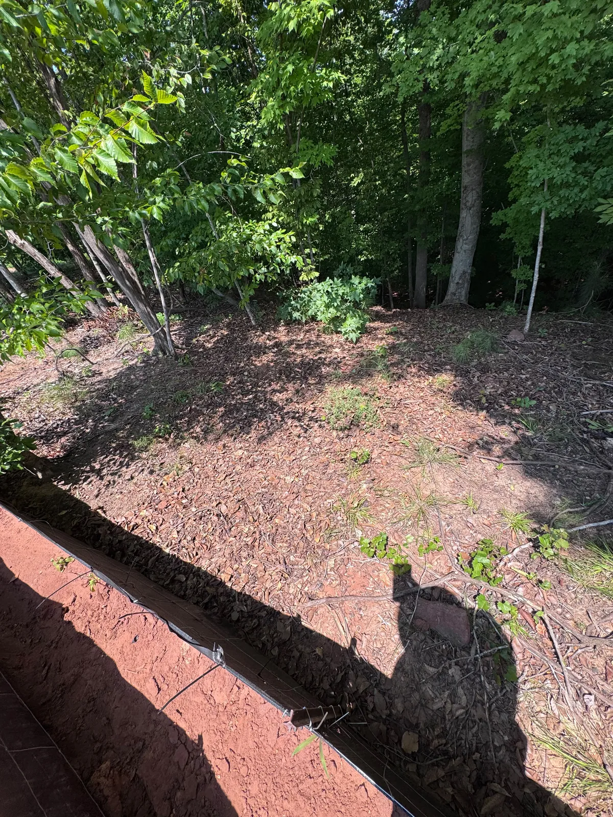 Clean wooded drainage swale after mud removal