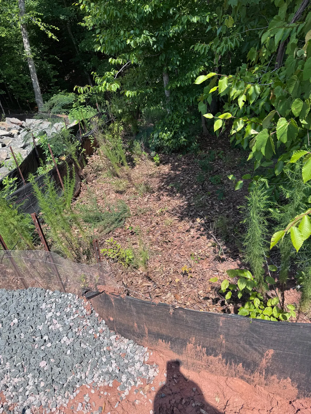 Wooded drainage area free of sediment after mud removal