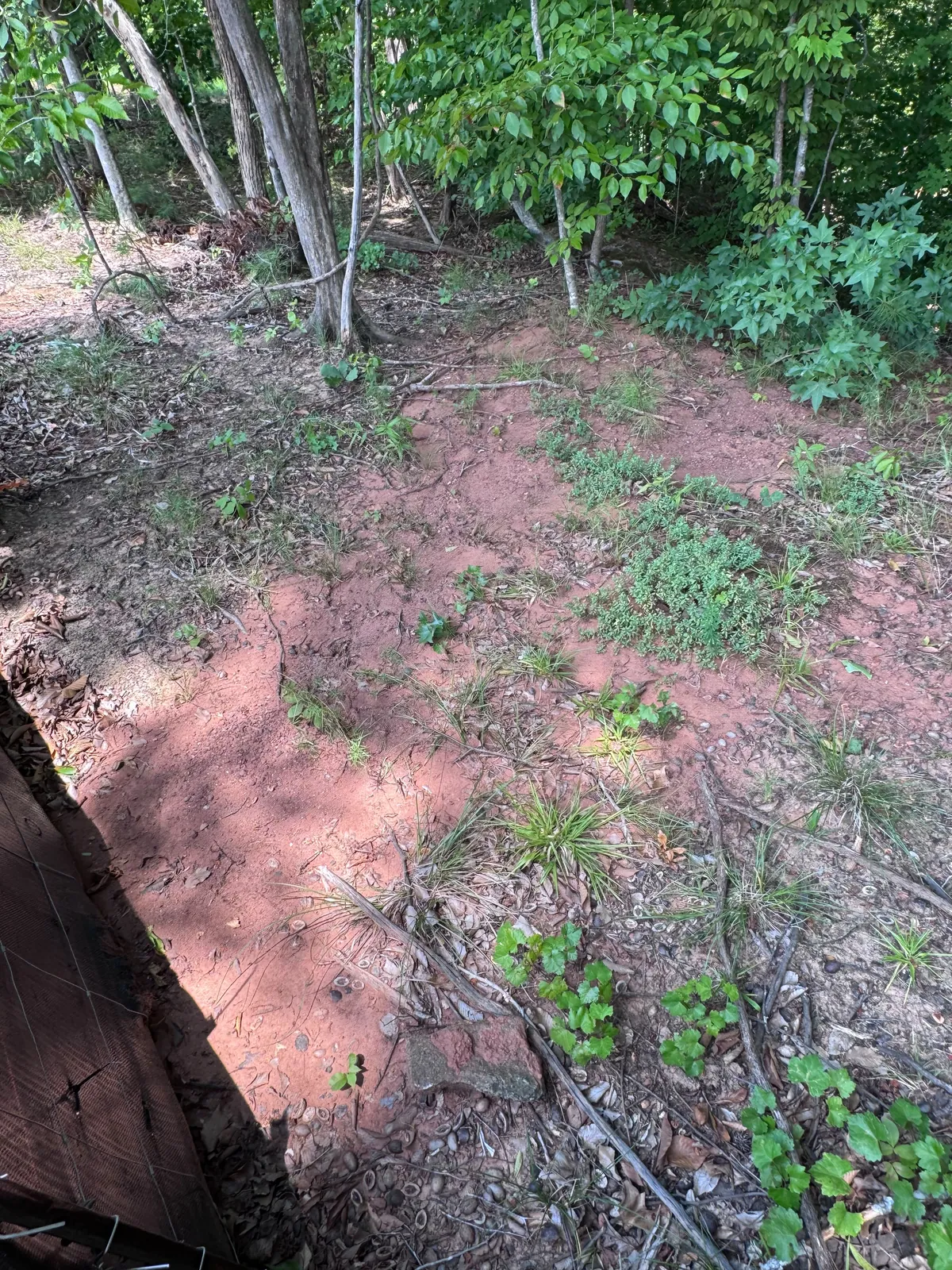 Drainage area cleared of debris during mud removal
