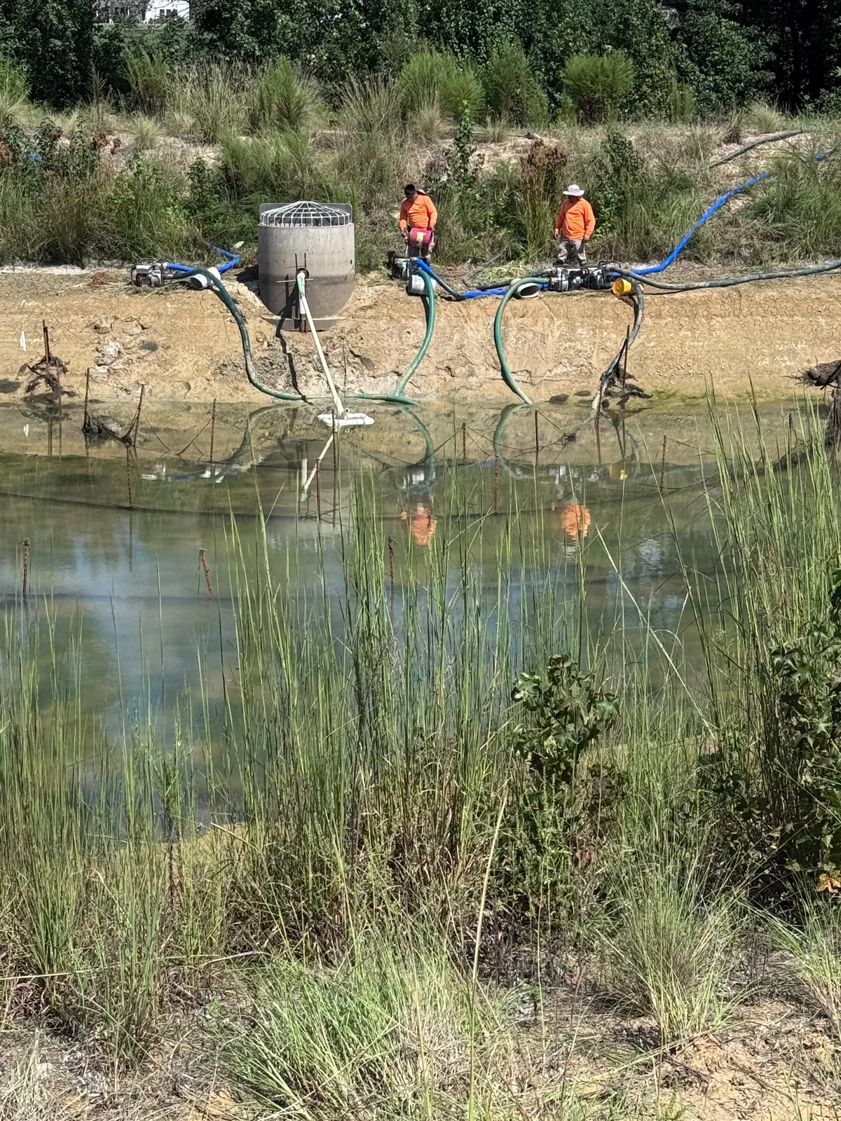 Pond conversion project at Nathans Ridge Pond
