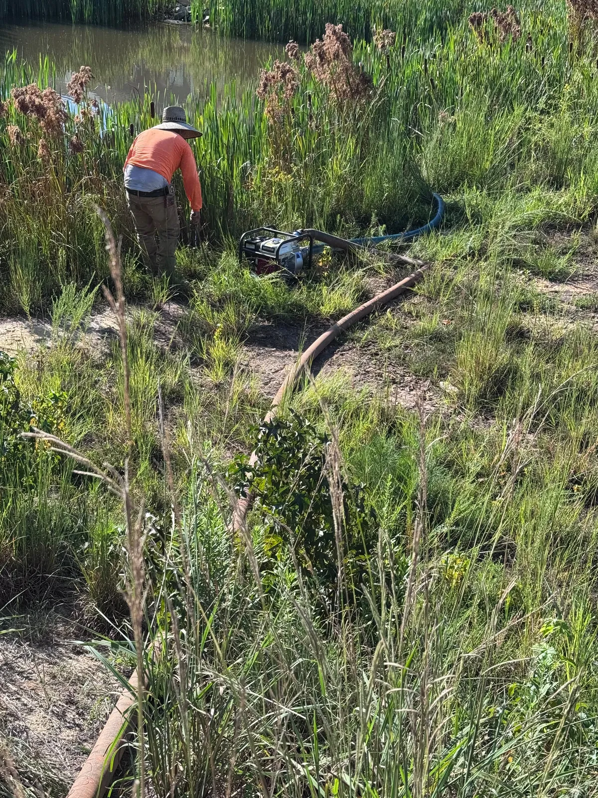 Pond conversion project at Nathans Ridge Pond