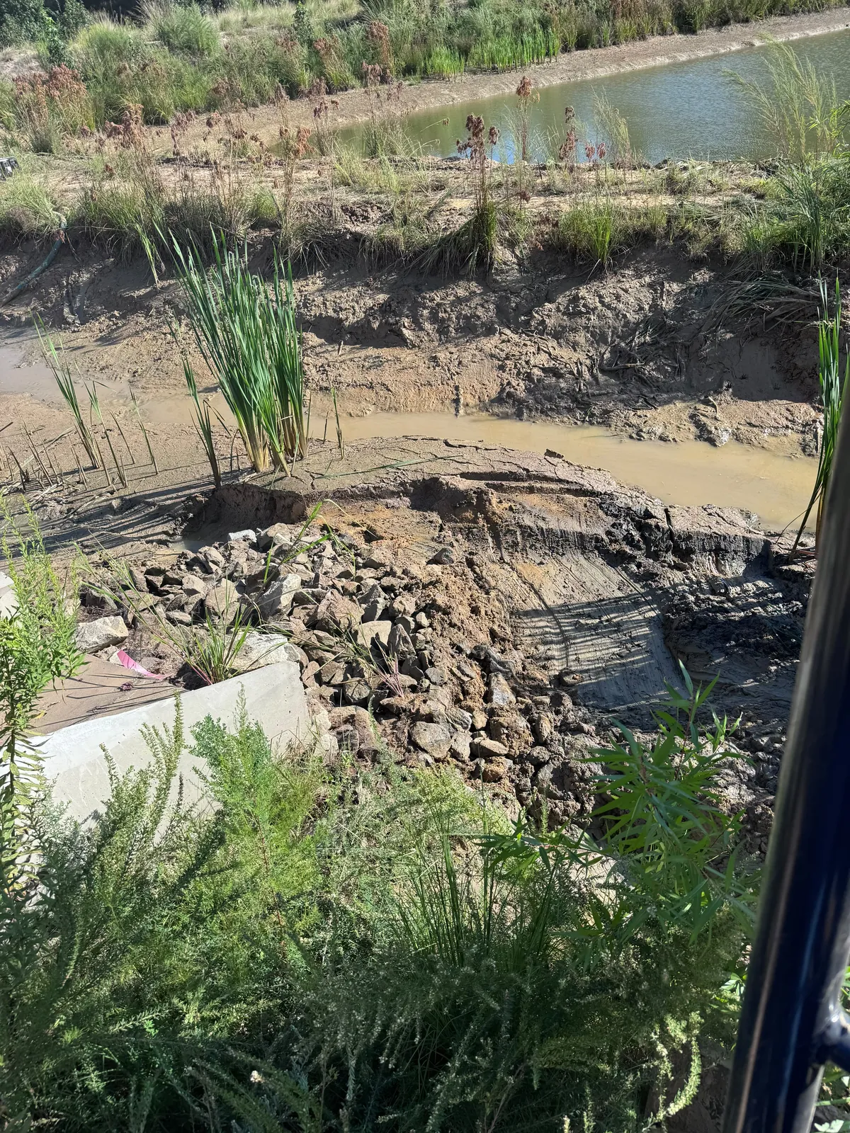 Pond conversion project at Nathans Ridge Pond