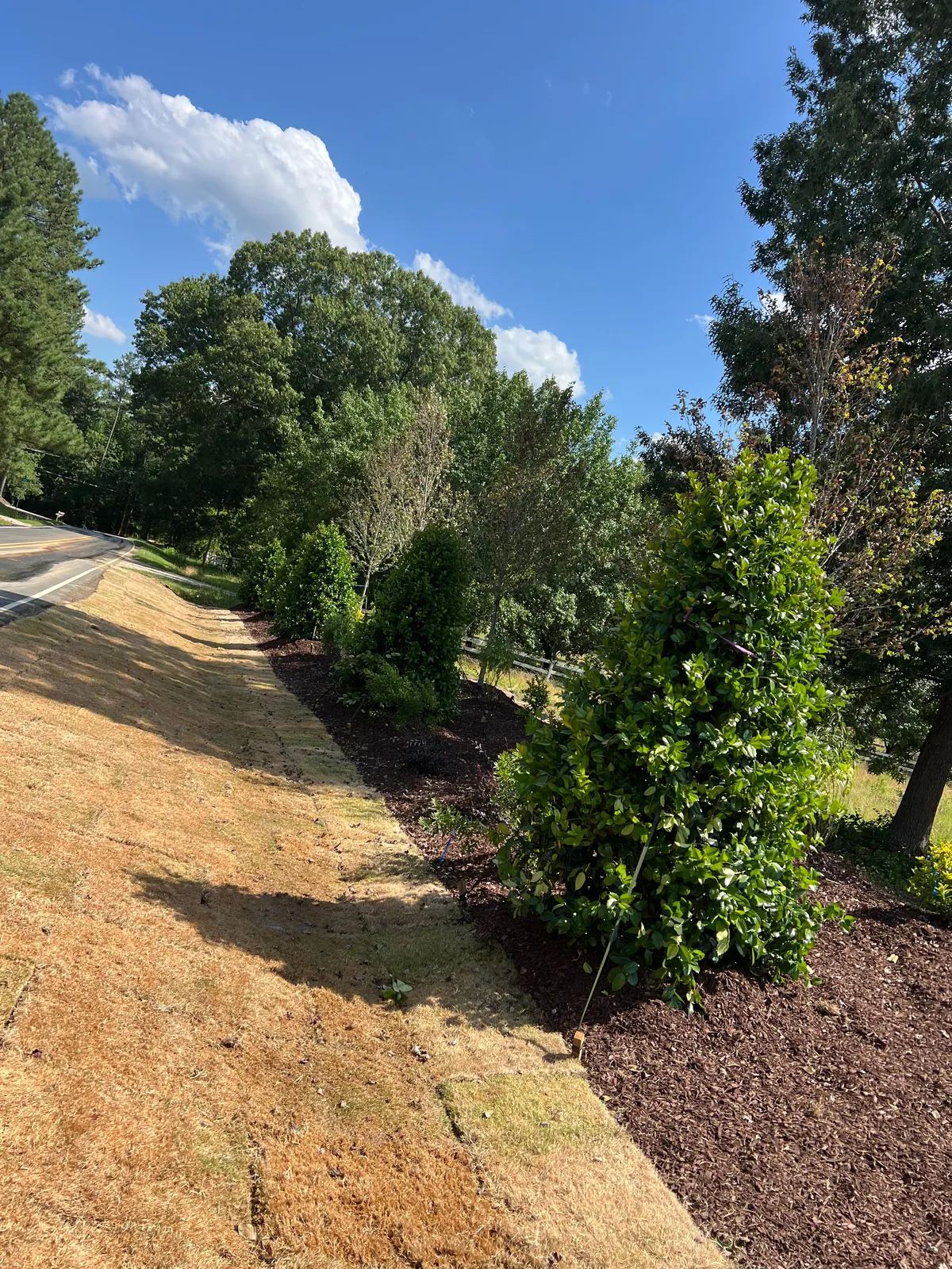 Landscaping project at Sauls Landing