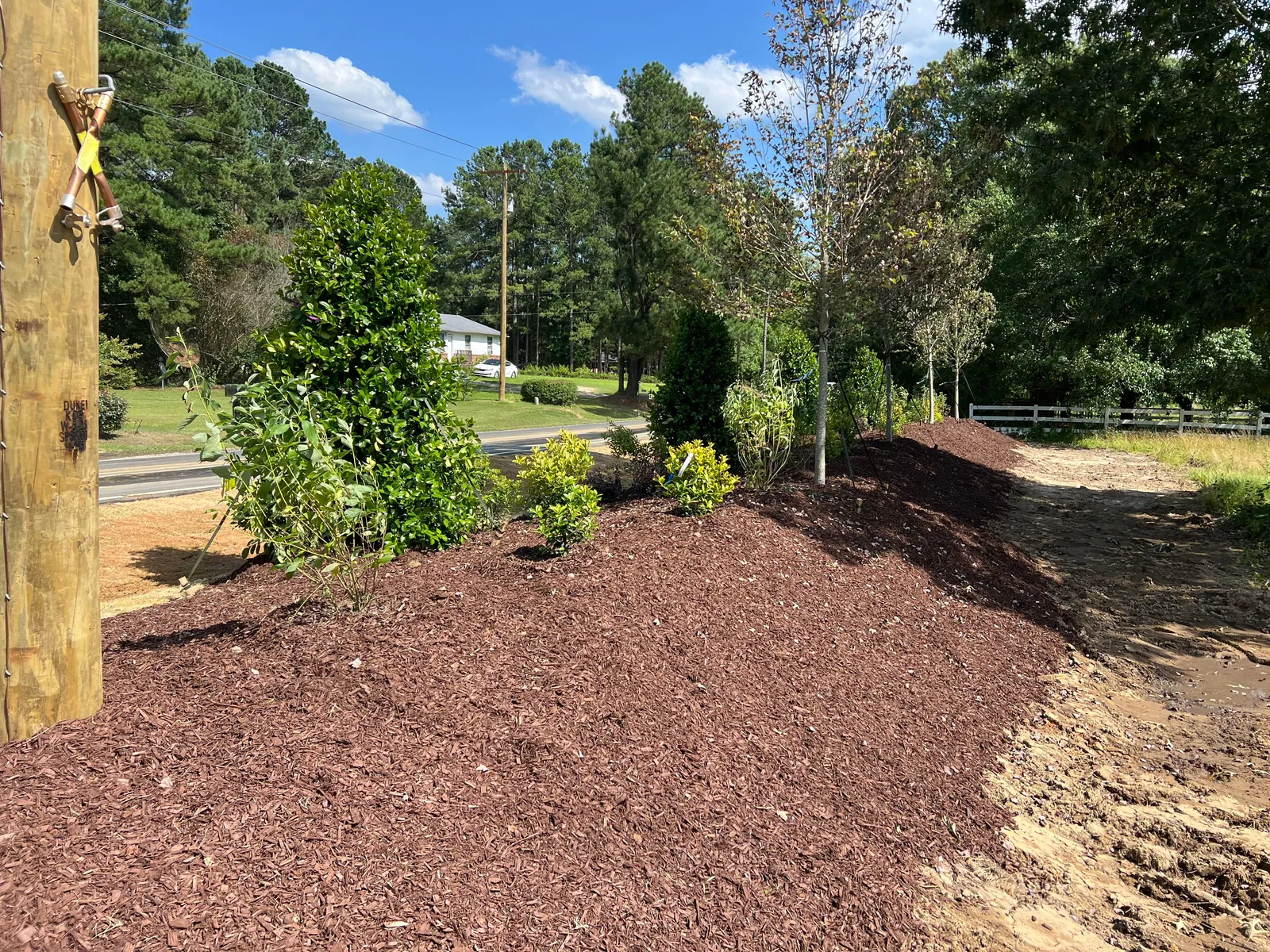 Freshly planted trees and mulch beds along a roadside at Sauls Landing