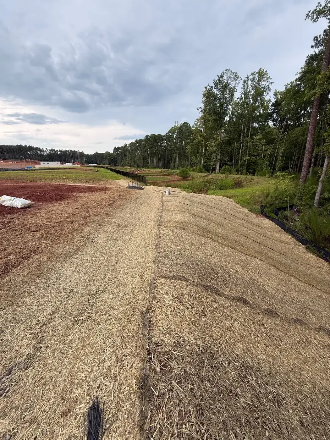Erosion control matting installed on a large graded slope
